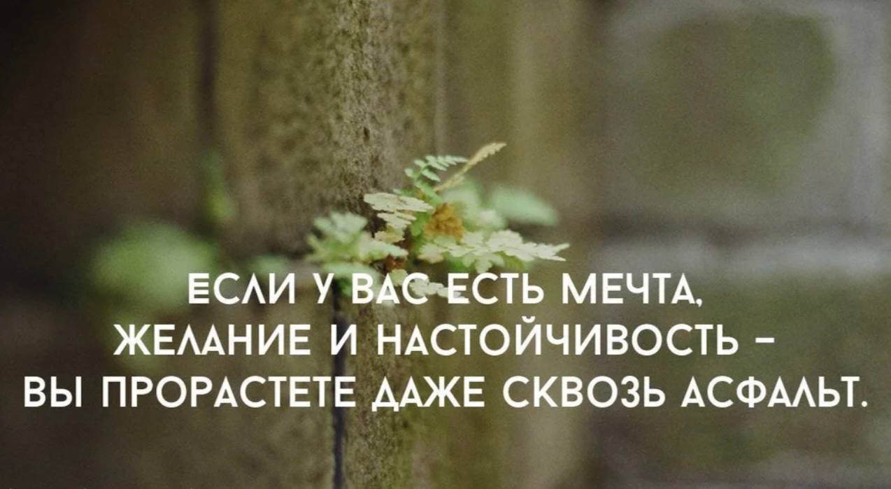 Вот и моя мечта проросла из самого сердца, переборов все мои страхи и…