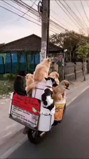 Врываемся в Майские праздники! Поделитесь, какие планы?😁