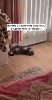Какие мысли приходят перед понедельником? Конечно, самые важные