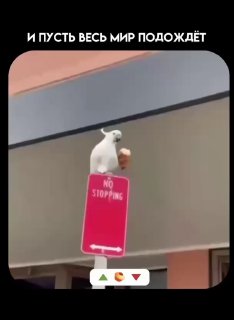 Когда наступил первый долгожданный выходной за долгий период.