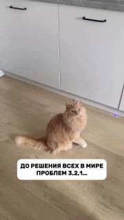 Пусть все проблемы в мире, решаются также просто!!