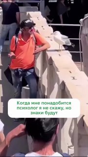 Забавно! Я например, с котами своими тоже разговариваю, они так…
