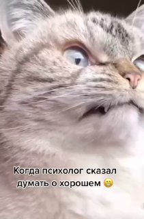 Как бы не было смешно, но в конце ролика, золотые слова - нет дурных…