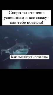 Когда работал, падал и вставал, не жалея себя, шел вперед и вложил…
